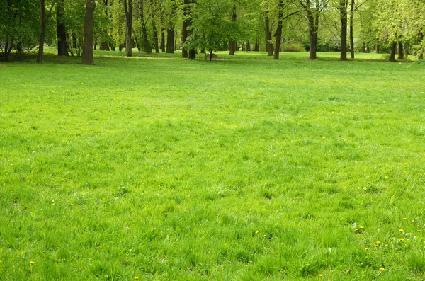 Il paesaggio naturale in primavera . — Foto Stock