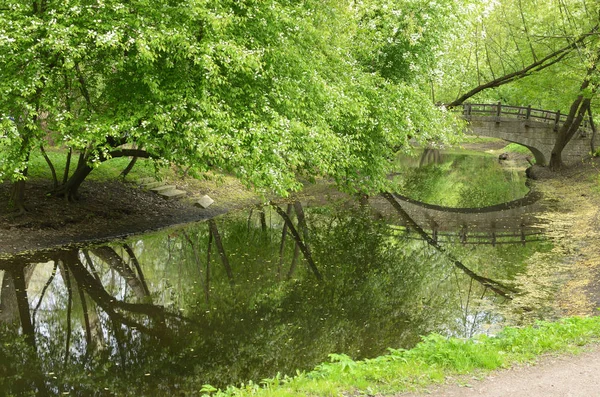 The natural landscape in the spring. — Stock Photo, Image