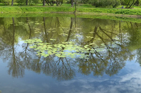 Die Naturlandschaft im Frühling. — Stockfoto