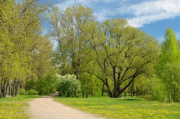 Naturalny krajobraz na wiosnę. — Zdjęcie stockowe