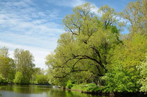 Bahar doğal peyzaj.