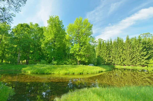 Die Naturlandschaft im Frühling. — Stockfoto