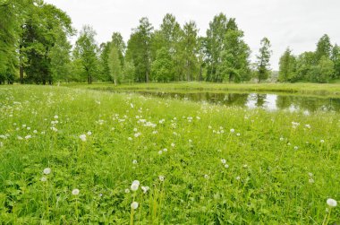 Bahar doğal peyzaj.