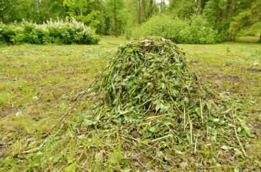 Kesim ot yığını.