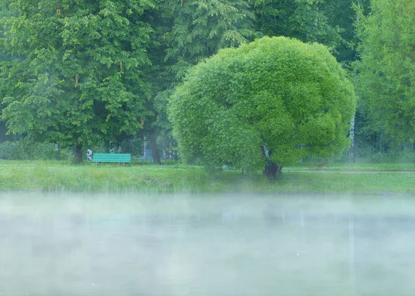 Die Verdunstung von Wasser im See. — Stockfoto