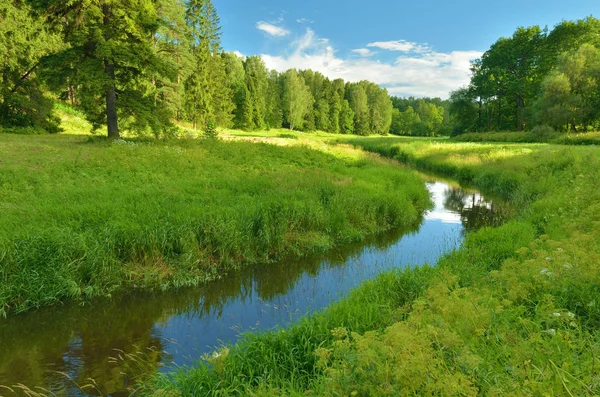 Sommer-Naturlandschaft. — Stockfoto