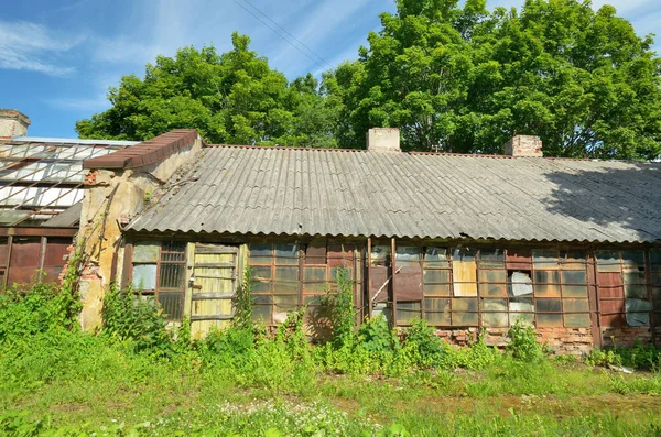 Старый амбар в лесу . — стоковое фото