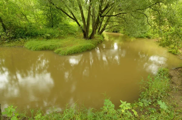 Die natürliche Landschaft mit dem Fluss. — Stockfoto