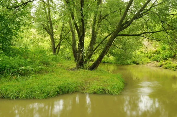 Die natürliche Landschaft mit dem Fluss. — Stockfoto