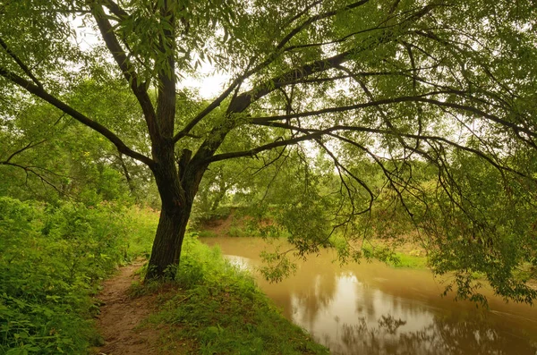 Die natürliche Landschaft mit dem Fluss. — Stockfoto