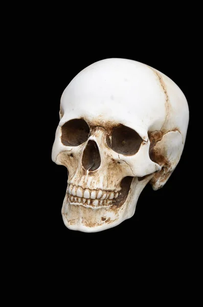 Crânio humano sobre um fundo preto. — Fotografia de Stock