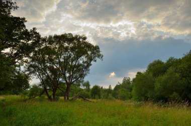 Gün batımında güneş ışınları.