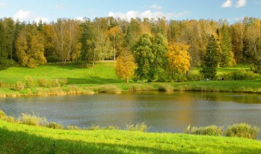 Doğa sonbahar renkleri.