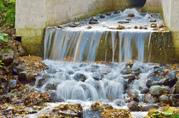Ormanda küçük bir şelale.