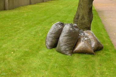 Düşmüş yaprakları Temizleme.