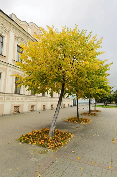 Van de stad herfst seizoen. — Stockfoto