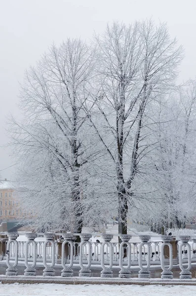 City Park in winter. — Stock Photo, Image