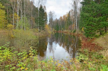 Sonbaharda doğal peyzaj.