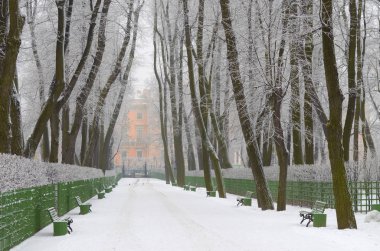 Kışın şehir parkı.