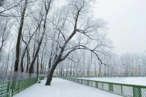 Městský park v zimě. — Stock fotografie