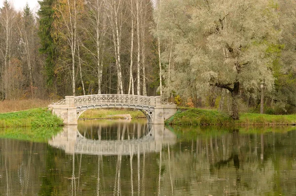 Autumn views of nature. — Stock Photo, Image