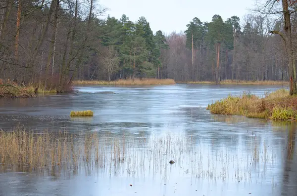Sonbaharda doğal peyzaj.