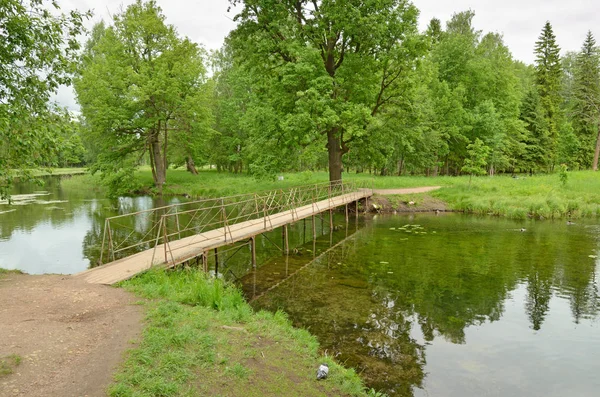Ponte de madeira do outro lado do rio. — Fotografia de Stock