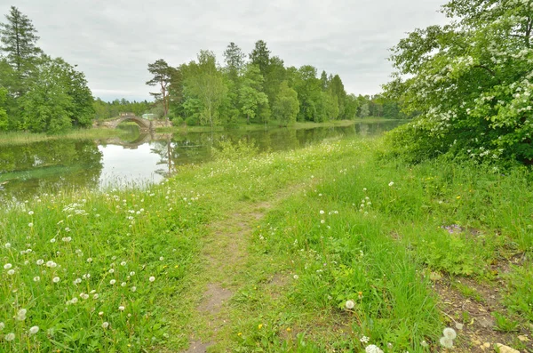 El paisaje natural en la primavera . — Foto de Stock