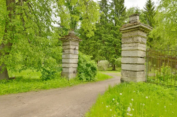 Sentiero tra gli alberi del parco . — Foto Stock