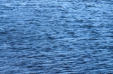 Deniz yüzey suyu.