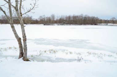 Beyaz karlı kış manzarası.