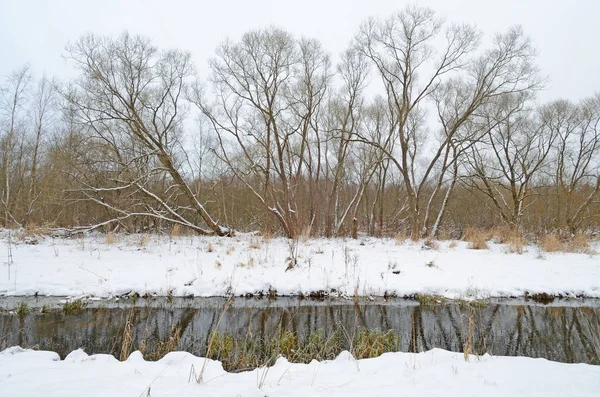 Winterlandschap met witte sneeuw. — Stockfoto