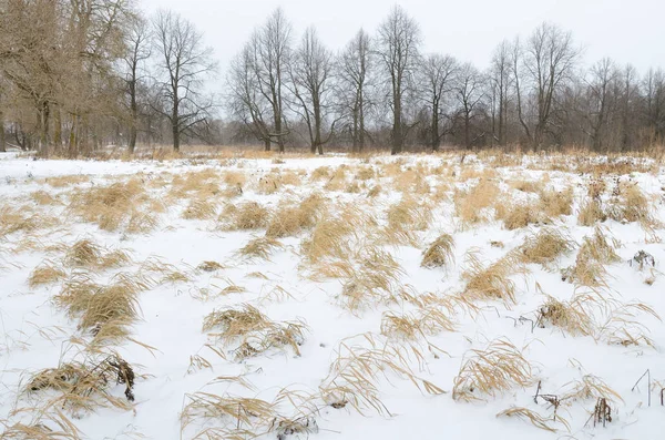 Winterlandschaft mit weißem Schnee. — Stockfoto