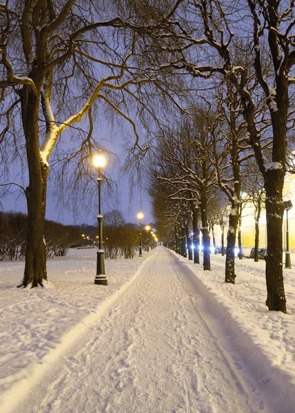Rue couverte de neige la nuit . — Photo