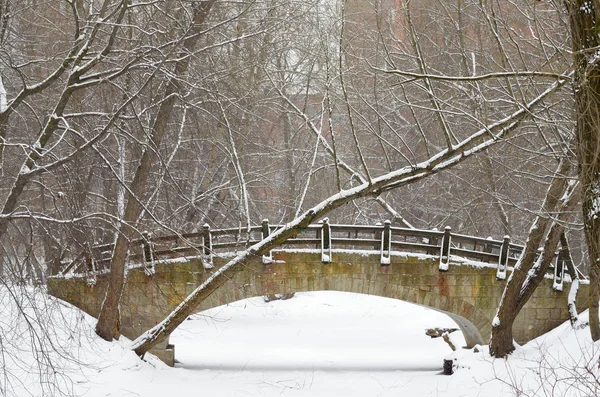 Zimní krajina s bílým sněhem. — Stock fotografie