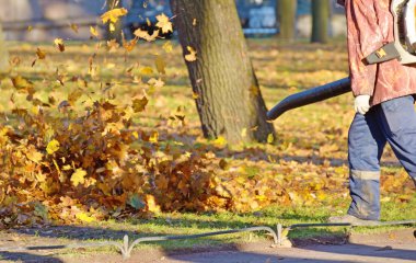 Mekanik Temizlik yaprakları.