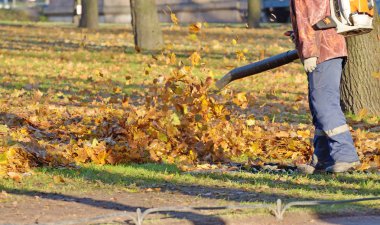 Mekanik Temizlik yaprakları.