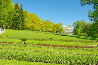 Yaz aylarında doğal peyzaj .