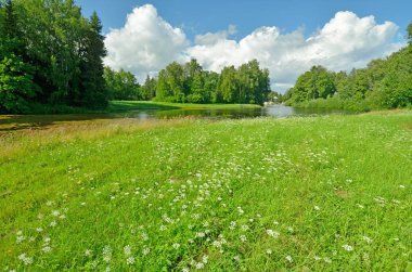 Bahar doğal peyzaj.