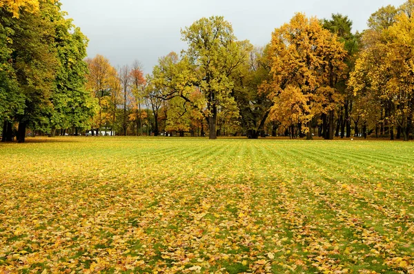 Autunno. Bellissimi paesaggi naturali . — Foto Stock