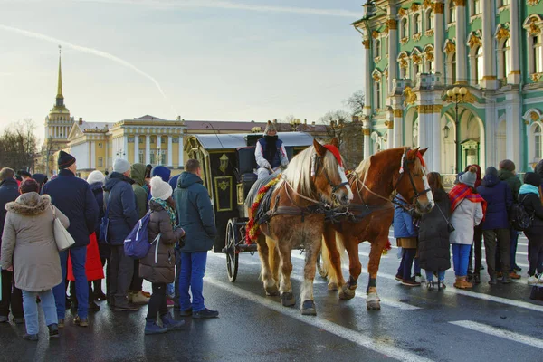 Подорож на конях у центрі міста.. — стокове фото