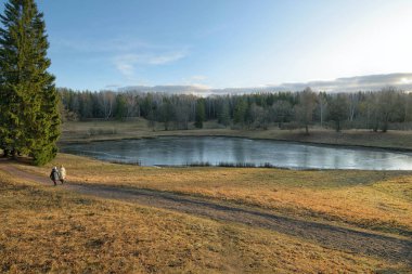 Sonbaharın sonlarında ormandaki güzel manzara.