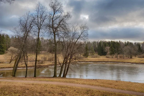 Schöne Landschaft im Wald im Spätherbst. — Stockfoto