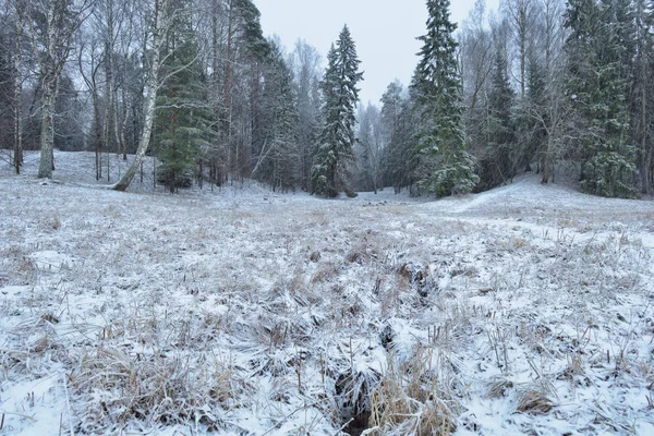 The first snow fell in the forest.