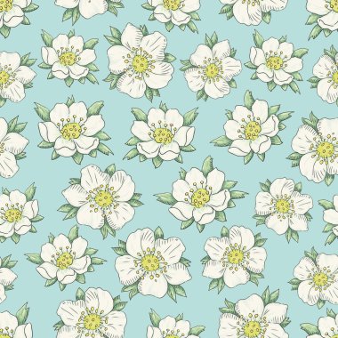 Mavi üzerinde çilek çiçekler 2017-07 arka plan