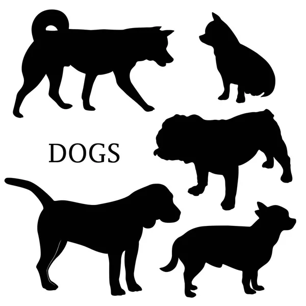Vektör köpek çizimler