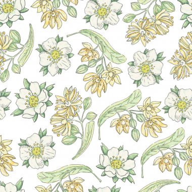 Vector seamless pattern with linden flowers and strawberry flowers clipart