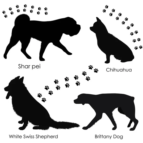 Vektör köpek çizimler. Köpek siluet 