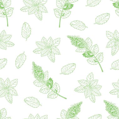 Nane ile Seamless Modeli