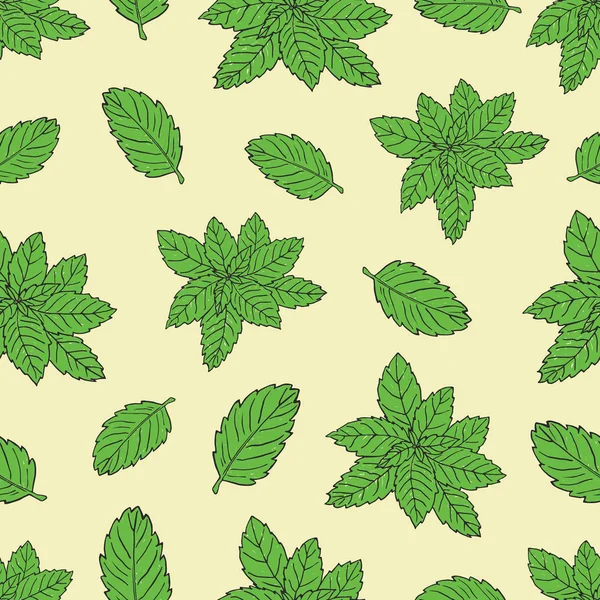 Naadloze patroon met groene pepermunt — Stockvector